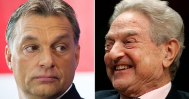 Orban & Soros