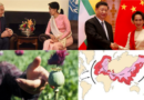 Société ouverte vs Chine : le choc des globalismes – première partie