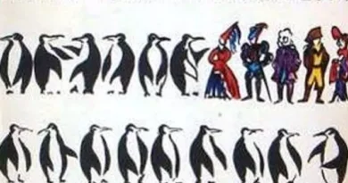 L-ile-Des-Pingouins-Livre-