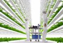 vertical-farm-food-system-