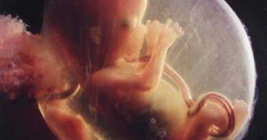 enfant-avortement-pro-vie-