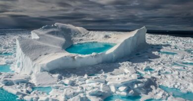 glaciers-dans-Artique