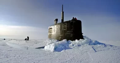arctique