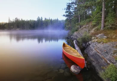 algonquin-park
