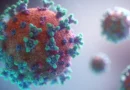 Maladies Covid-19, virus et vaccination