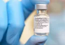 Un document déclassifié prouve que la production du vaccin Pfizer a commencé en mai 2019