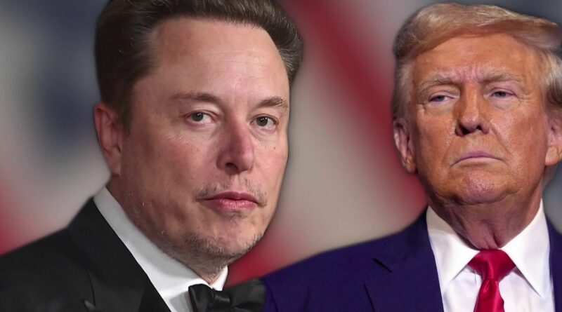 trump-musk-66c4e2ac62cd5325863669