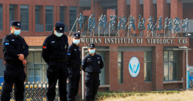 wuhan lab