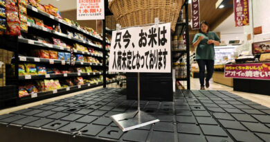 Japan's rice shortage