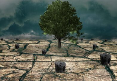 Comment un mouvement politique a inventé ses propres fondements scientifiques