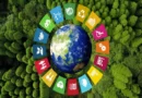 Sustainable Development Or Sustainable Exploitation?