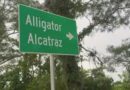 Are We Sure We Want Black Sites in America? Alongside the Palantir AI Police State Control Grid?