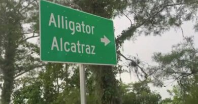 Are We Sure We Want Black Sites in America? Alongside the Palantir AI Police State Control Grid? Are We Sure We Want Black Sites in America? Alongside the Palantir AI Police State Control Grid?