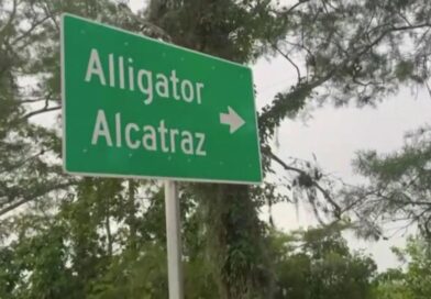 Are We Sure We Want Black Sites in America? Alongside the Palantir AI Police State Control Grid?