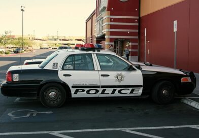 Israeli government official arrested in Nevada in internet crimes against children sting