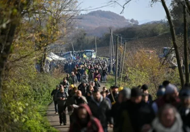 Abattage de bovins malades : la colère agricole embrase à nouveau la France