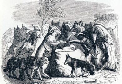 Operación Resolución Absoluta : Un breve análisis crítico