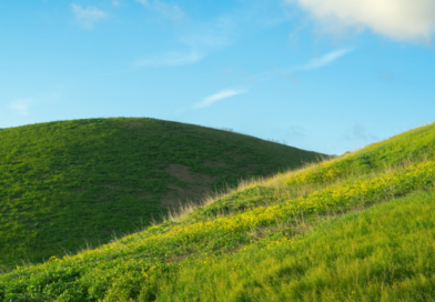 La Terre verdit mais Philippe Verdier (météo, France Télévisions) a été «mis au vert»
