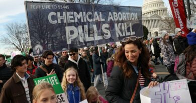 Four years after fall of Roe, abortion rate is on the rise despite pro-life gains Four years after fall of Roe, abortion rate is on the rise despite pro-life gains