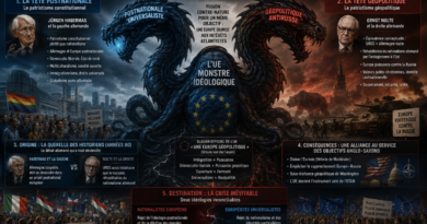 Union européenne : du « patriotisme constitutionnel » au « patriotisme géopolitique », la naissance d’une hydre à deux têtes, l’une globaliste, l’autre revanchiste. Union européenne : du « patriotisme constitutionnel » au « patriotisme géopolitique », la naissance d’une hydre à deux têtes, l’une globaliste, l’autre revanchiste.